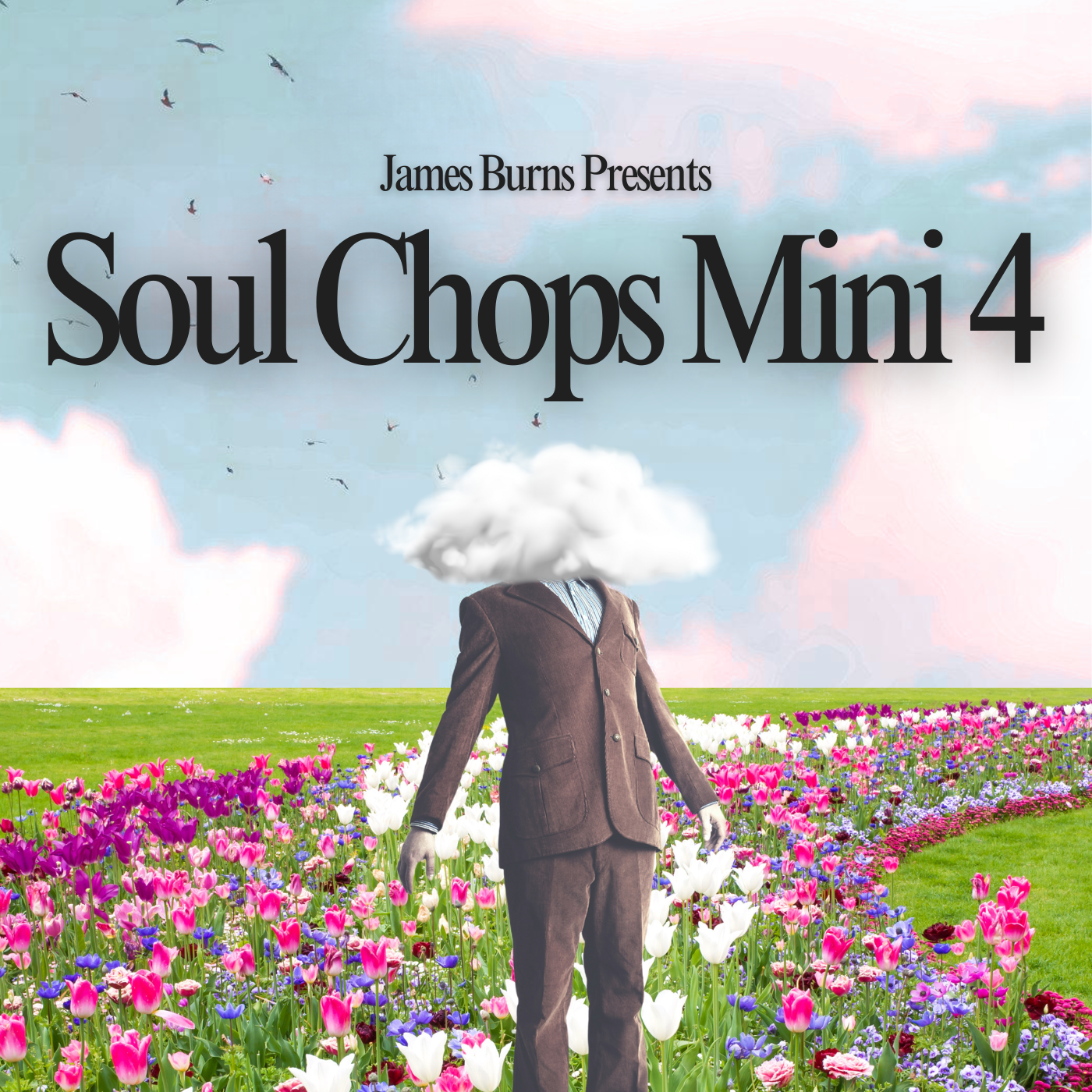Soul Chops Mini Pack 4 – Burns Music Library