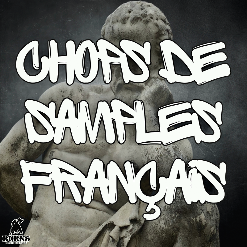 Chops De Samples Français