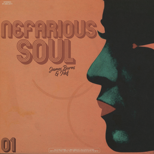 Nefarious Soul - James Burns X Nef