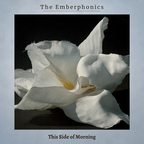 This Side of Morning